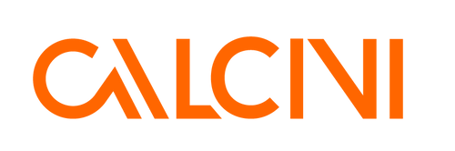 Calcini